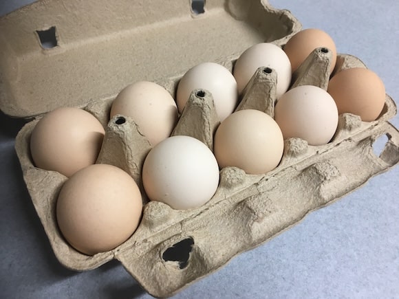 ドットミィの地どり卵